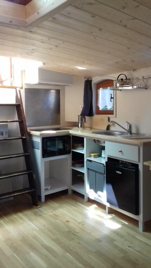 Studio Sur Peniche La Tortue Ramonville-Saint-Agne Ngoại thất bức ảnh